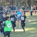 cross 10-12-14 (140)