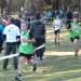 cross 10-12-14 (144)