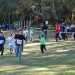 cross 10-12-14 (162)