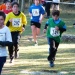 cross 10-12-14 (181)