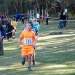 cross 10-12-14 (184)