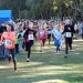 cross 10-12-14 (195)