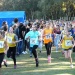 cross 10-12-14 (200)