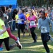 cross 10-12-14 (201)