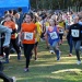 cross 10-12-14 (203)