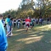 cross 10-12-14 (242)