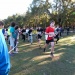 cross 10-12-14 (243)