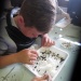 dissection SVT (20)
