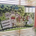 parc Galéa juin 2015 (4)
