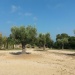 parc Galéa juin 2015 (9)