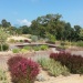 parc Galéa juin 2015 (12)