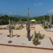 parc Galéa juin 2015 (14)
