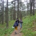 21 col de bavella pins lariciu et fougères (480x640)