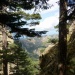 116 ravin de Velaco (480x640)