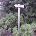 20151113_101524 (480x640)