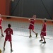 P1400226 (640x480) (320x240)