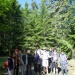 P1030016 le groupe au complet dans la sapinière (480x640)
