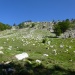 P1030022 blocs de granite  et genevriers nains (640x480)