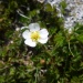 P1030001 (640x480)