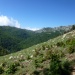 P1030033 vue vers le val d'Ese derrière les crêtes avec à gauche forêt de Marmano (hêtres et sapins) (640x480)