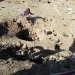 le chantier  de sauvetage (9) (640x480)