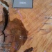 20170608_124202 (640x480)