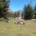 20170608_125745 (640x480)