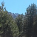 20170608_125918 (480x640)