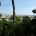 barcelona (25)