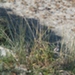 Photo 008 (800x449).jpg