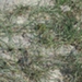 Photo 009 (800x449).jpg