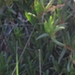 Photo 012 (800x449).jpg