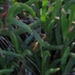 Photo 013 (800x449).jpg