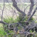 Photo 014 (800x449).jpg