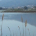 DSC01304 (800x600).jpg
