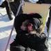 IMG_0192 (800x450)