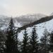 IMG_0330 (800x450)