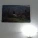 Niolu 2013 avec 5B (3) (800x600)